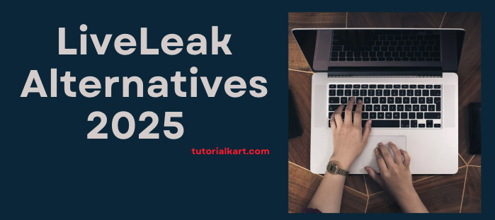 LiveLeak Alternatives 2025